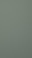 Lakitud-uks, Chic, TML16, Reed green, matt