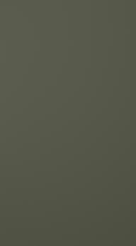 Värvitud uks, Preesens, TM10, Moss