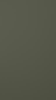 Värvitud uks, Style, TM40, Moss