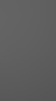 Värvitud uks, Style, TM40, Graphite Grey