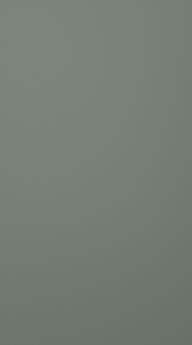 Lakitud-uks, Chic, TML16, Reed green, matt