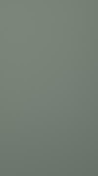 Lakitud-uks, Chic, TML16, Reed green, matt